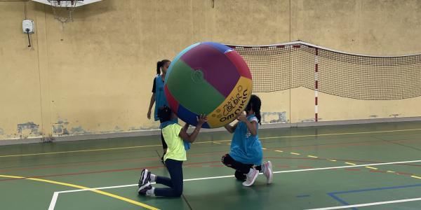 Mercredi multisports 9-12 ans 2024-2025