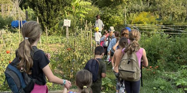 Stage vacances Été 2026 S1 Juillet